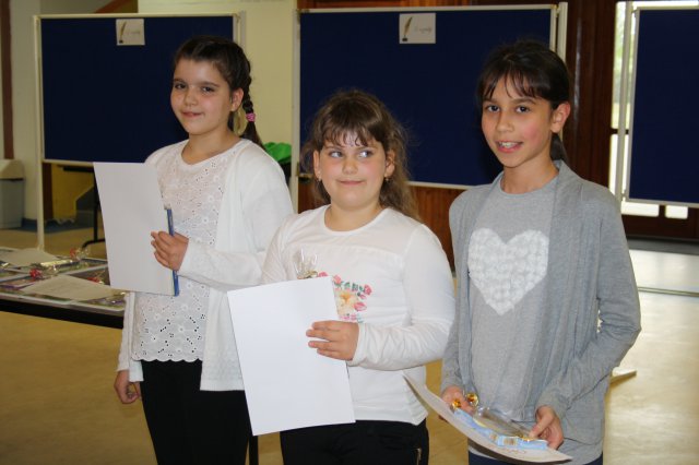 Megyei helyesírási verseny